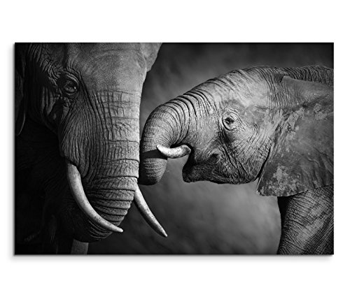 Modernes Bild 120x80cm Tierfotografie - Elefantenmutter mit Kind