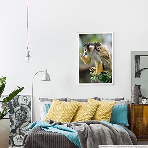 Best for home Artprints - Tierfotografie - Affenmutter mit Baby- Fotodruck in gestochen scharfer Qualität