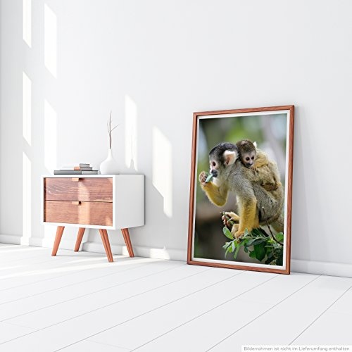 Best for home Artprints - Tierfotografie - Affenmutter mit Baby- Fotodruck in gestochen scharfer Qualität