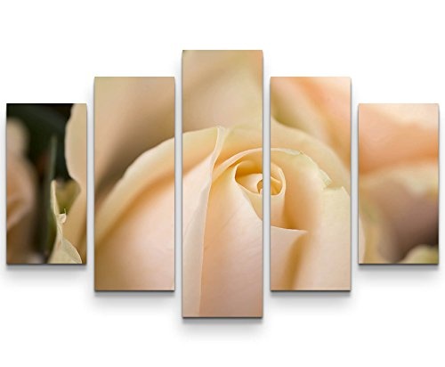 5 teiliges Wandbild auf Leinwand (Gesamtmaß: 150x100cm) Weiße Rose im Detail