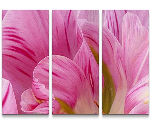 3 teiliges Wandbild Gesamtgröße 130x90cm Rosa Tulpen im Sommer