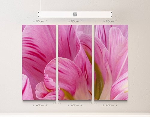 3 teiliges Wandbild Gesamtgröße 130x90cm Rosa Tulpen im Sommer