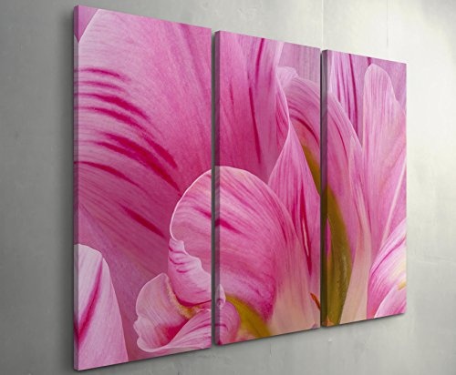 3 teiliges Wandbild Gesamtgröße 130x90cm Rosa Tulpen im Sommer