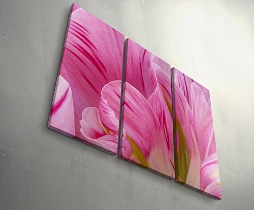 3 teiliges Wandbild Gesamtgröße 130x90cm Rosa Tulpen im Sommer