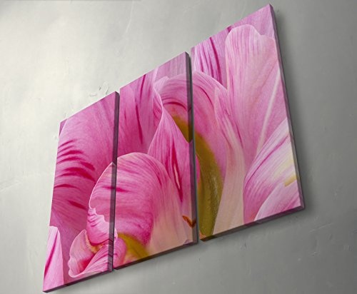 3 teiliges Wandbild Gesamtgröße 130x90cm Rosa Tulpen im Sommer