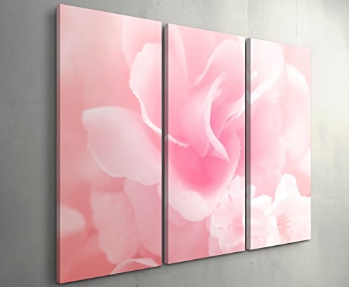 3 teiliges Wandbild Gesamtgröße 130x90cm Zarte Rose in Pastelltönen