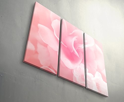 3 teiliges Wandbild Gesamtgröße 130x90cm Zarte Rose in Pastelltönen