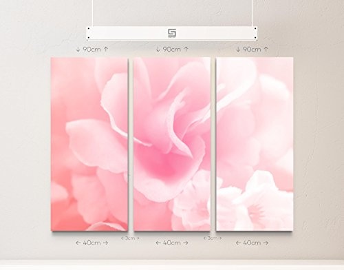 3 teiliges Wandbild Gesamtgröße 130x90cm Zarte Rose in Pastelltönen