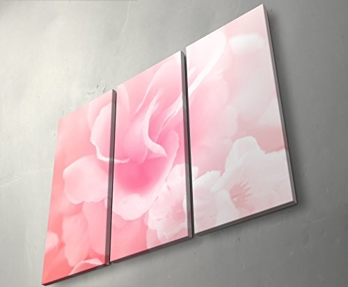 3 teiliges Wandbild Gesamtgröße 130x90cm Zarte Rose in Pastelltönen