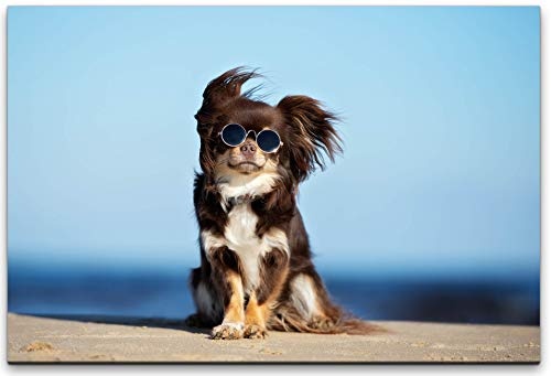 bestforhome 150x100cm Leinwandbild kleine Hundewelpe mit Sonnenbrille Leinwand auf Holzrahmen