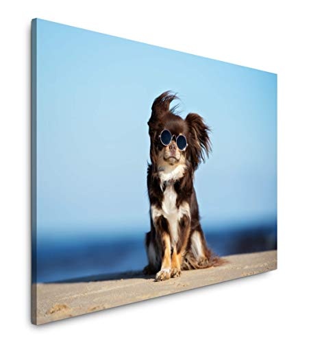 bestforhome 150x100cm Leinwandbild kleine Hundewelpe mit Sonnenbrille Leinwand auf Holzrahmen