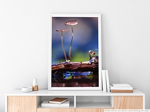 Best for home Artprints - Kunstbild - Kleine Pilze auf Holzstück- Fotodruck in gestochen scharfer Qualität