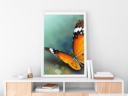 Best for home Artprints - Tierfotografie - Kleiner Monarch Schmetterling- Fotodruck in gestochen scharfer Qualität