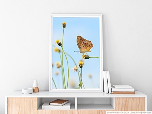 Best for home Artprints - Kunstbild - Kleiner Leopardenschmetterling- Fotodruck in gestochen scharfer Qualität