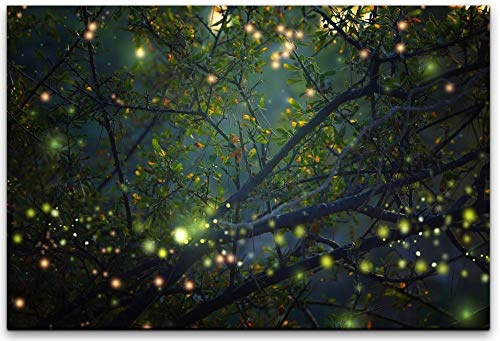 bestforhome 150x100cm Leinwandbild Leuchtkäfer bei Nacht im Wald Leinwand auf Holzrahmen
