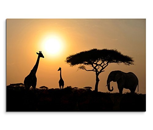Modernes Bild 120x80cm Landschaftsfotografie - Giraffen und Elefant bei Sonnenuntergang