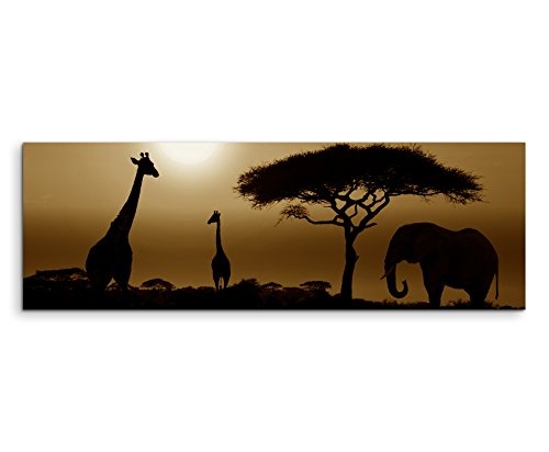 150x50cm Wandbild Panorama Fotoleinwand Bild in Sepia Sonnenuntergang Elefant und Giraffen Afrika