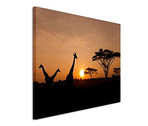 Modernes Bild 90x60cm Landschaftsfotografie - Giraffen bei Sonnenaufgang