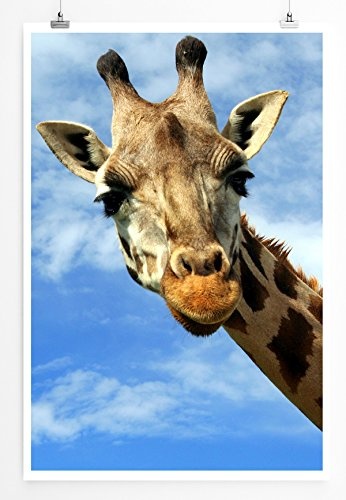 Best for home Artprints - Tierfotografie - Süßes Giraffen Porträt- Fotodruck in gestochen scharfer Qualität