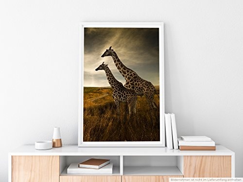 Best for home Artprints - Tierfotografie - Zwei Giraffen in der Landschaft- Fotodruck in gestochen scharfer Qualität