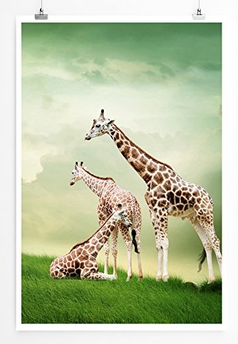 Best for home Artprints - Tierfotografie - Drei Giraffen...