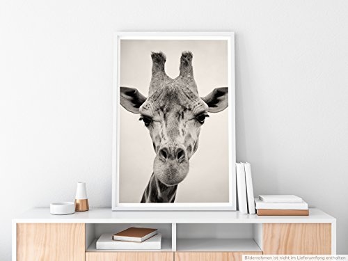 Best for home Artprints - Tierfotografie - Giraffe im Porträt - Fotodruck in gestochen scharfer Qualität