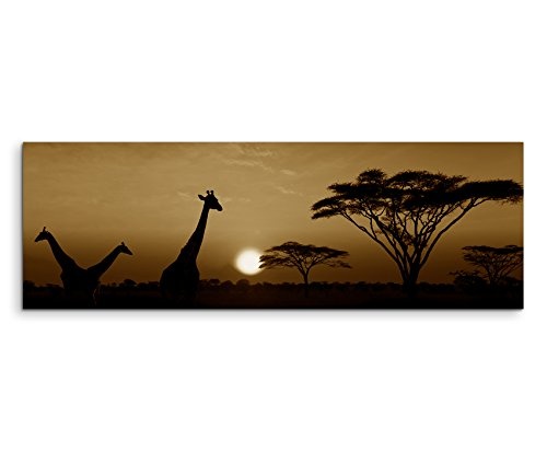 150x50cm Wandbild Panorama Fotoleinwand Bild in Sepia Sonnenuntergang Safari Giraffen Serengeti Nationalpark