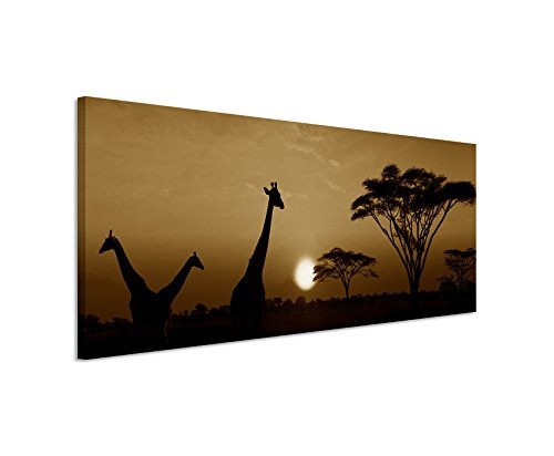 150x50cm Wandbild Panorama Fotoleinwand Bild in Sepia Sonnenuntergang Safari Giraffen Serengeti Nationalpark