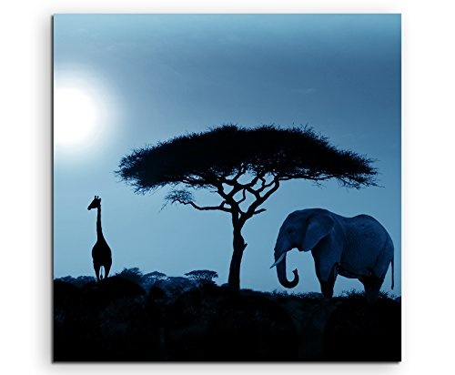 60x60cm Wandbild Fotoleinwand Bild in Blau Sonnenuntergang Elefant und Giraffen Afrika