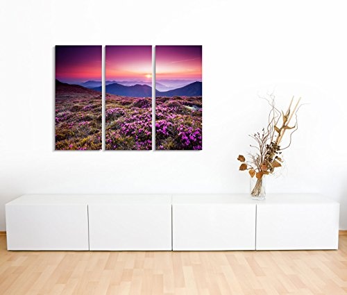 Modernes Bild 3 teilig je 40x90cm Landschaftsfotografie - Pinkes Rhododendronfeld im Sonnenlicht