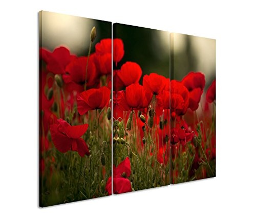 Modernes Bild 3 teilig je 40x90cm Naturfotografie - Rote Mohnblumen