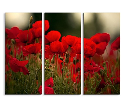 Modernes Bild 3 teilig je 40x90cm Naturfotografie - Rote Mohnblumen