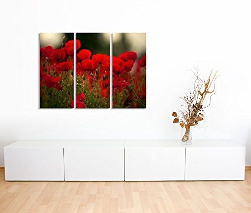 Modernes Bild 3 teilig je 40x90cm Naturfotografie - Rote Mohnblumen