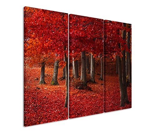 Modernes Bild 3 teilig je 40x90cm Landschaftsfotografie - Wald mit rotem Laub
