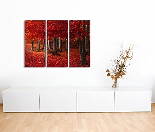 Modernes Bild 3 teilig je 40x90cm Landschaftsfotografie - Wald mit rotem Laub