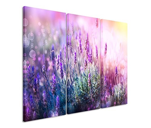 Modernes Bild 3 teilig je 40x90cm Naturfotografie - Blühender Lavendel in der Sonne
