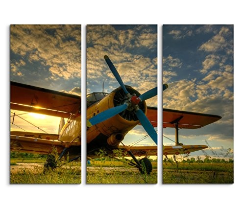 Modernes Bild 3 teilig je 40x90cm Künstlerische Fotografie - Altes Flugzeug auf grünem Gras im Sonnenschein