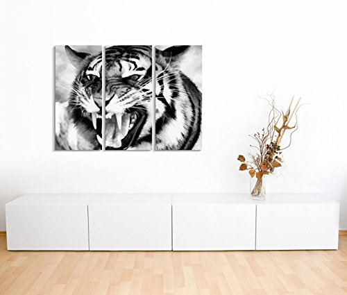 Bestforhome GmbH Modernes Bild 3 teilig je 40x90cm Bild - Brüllender Tiger mit Zähnen