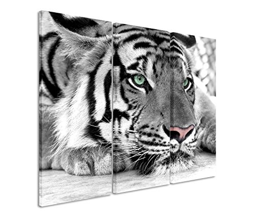 Modernes Bild 3 teilig je 40x90cm Künstlerische Fotografie - Weißer Tiger mit grünen Augen