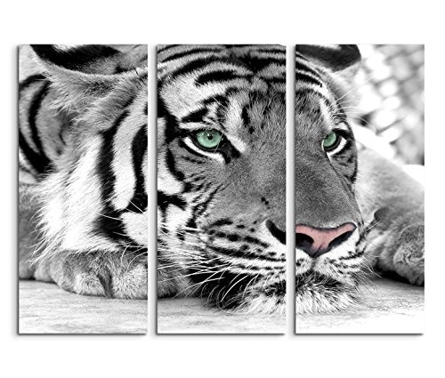 Modernes Bild 3 teilig je 40x90cm Künstlerische Fotografie - Weißer Tiger mit grünen Augen