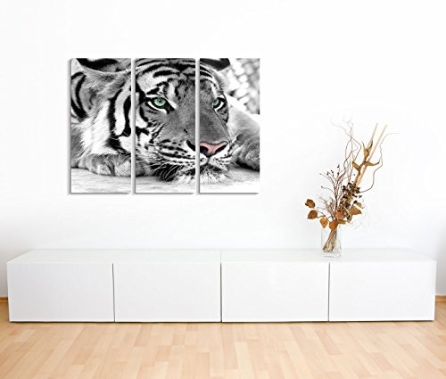 Modernes Bild 3 teilig je 40x90cm Künstlerische Fotografie - Weißer Tiger mit grünen Augen