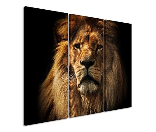 Modernes Bild 3 teilig je 40x90cm Tierfotografie - Großer ausgewachsener Löwe im Porträt