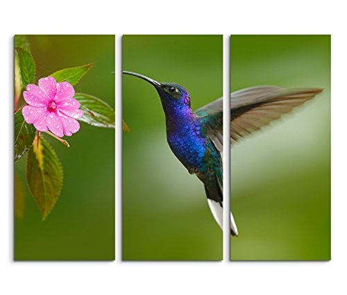 Modernes Bild 3 teilig je 40x90cm Tierfotografie - Kolibri vor einer pinken Blüte