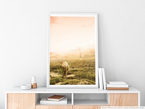 Best for home Artprints - Art - Lamm auf einer grünen Wiese- Fotodruck in gestochen scharfer Qualität