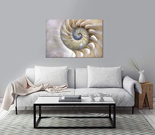 bestforhome 180x120cm Leinwandbild Fibonacci Muster Einer Nautilus Muschel Leinwand auf Holzrahmen