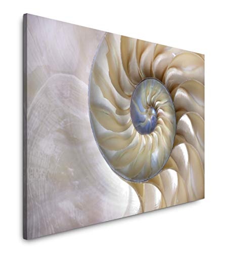 bestforhome 180x120cm Leinwandbild Fibonacci Muster Einer Nautilus Muschel Leinwand auf Holzrahmen