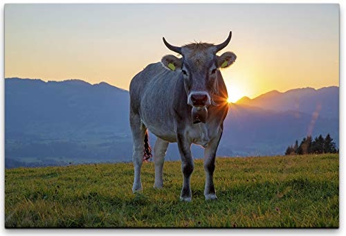 bestforhome 150x100cm Leinwandbild Kuh bei Sonnenaufgang Einer ALM Leinwand auf Holzrahmen