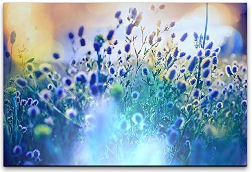 bestforhome 180x120cm Leinwandbild Blaue Blumen AUD Einer Wiese im Sommer Leinwand auf Holzrahmen