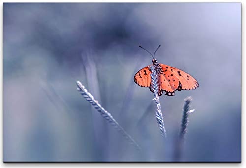 bestforhome 150x100cm Leinwandbild roter Schmetterling auf Einer Pflanze Leinwand auf Holzrahmen