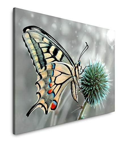 bestforhome 180x120cm Leinwandbild weißer Schmetterling auf Einer Blume Leinwand auf Holzrahmen